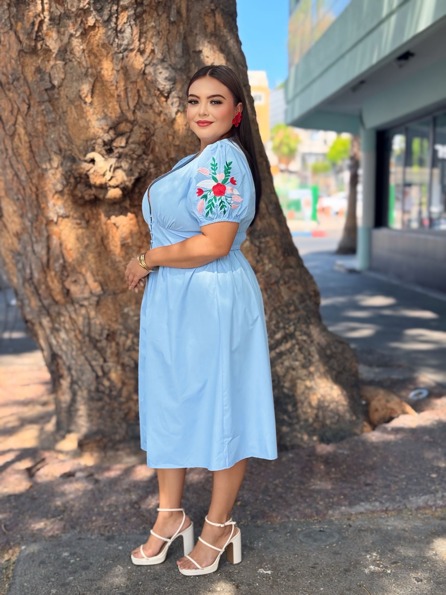 Vestido azul bordado