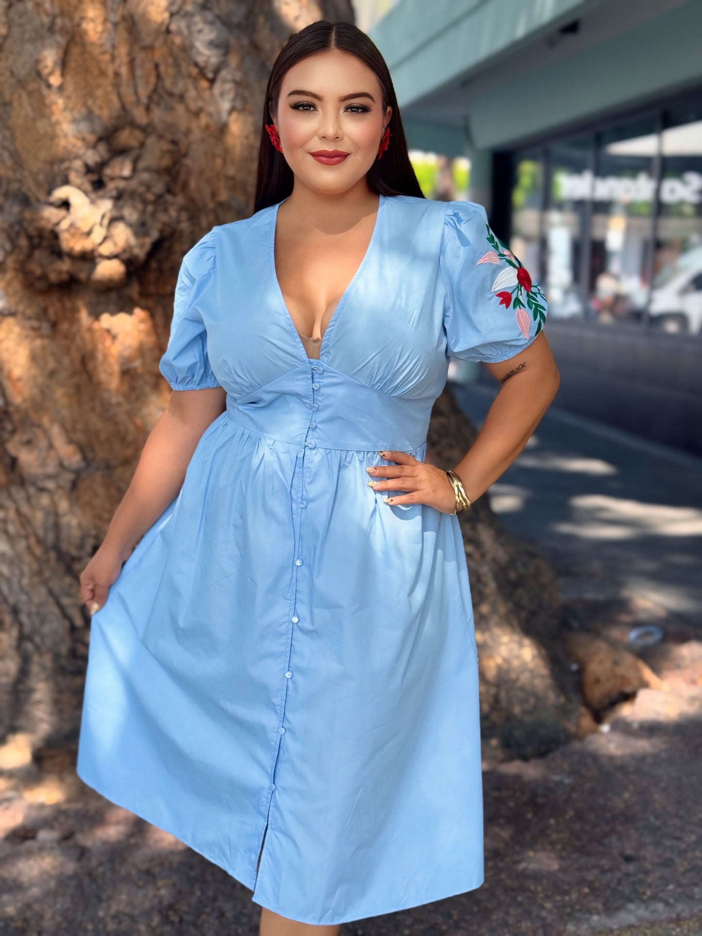 Vestido azul bordado