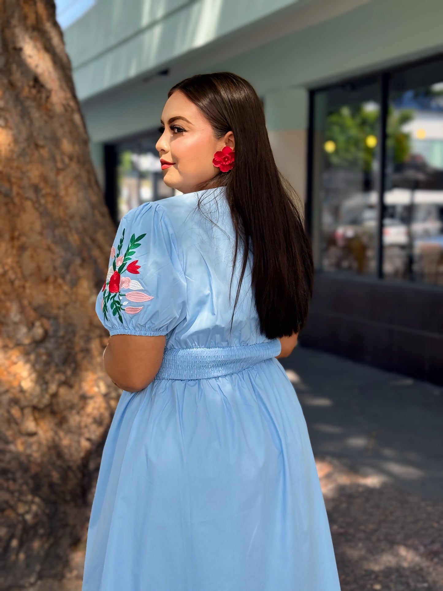 Vestido azul bordado
