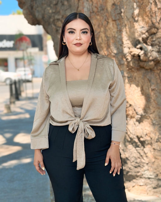 Blusa