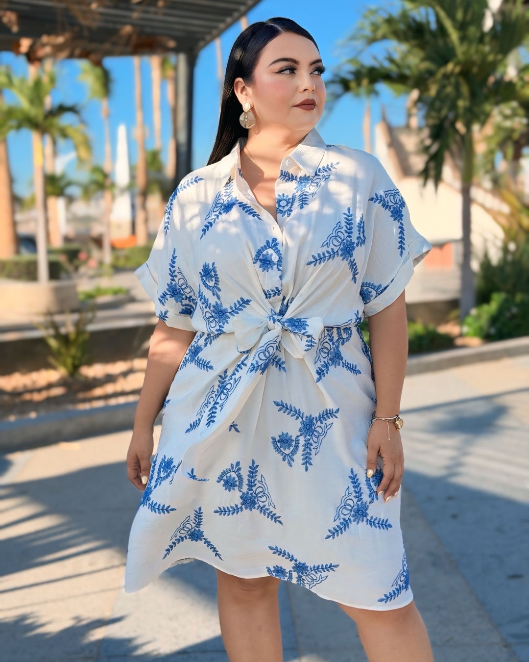 Vestido bordados azul