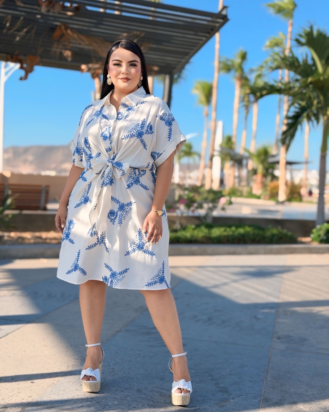 Vestido bordados azul